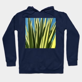 Tropical Palm Plant Leaves Photo Hoodie